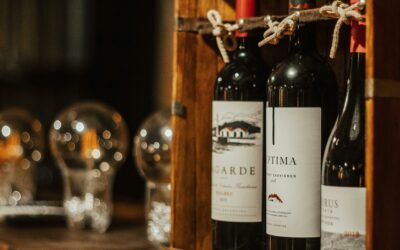 Apprendre à déguster un vin : le guide complet pour débutants